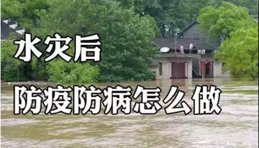 &#20048;&#31454;&#23448;&#32593;&#45;&#20048;&#31454;&#40;&#20013;&#22269;&#41;&#19968;&#31449;&#24335;&#20307;&#32946;&#26381;&#21153;